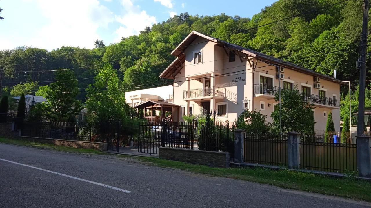 Vila Tisa Tismana Exterior foto